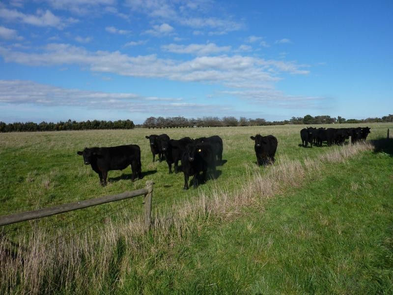 L31  355 Railway Road, Koo Wee Rup VIC 3981