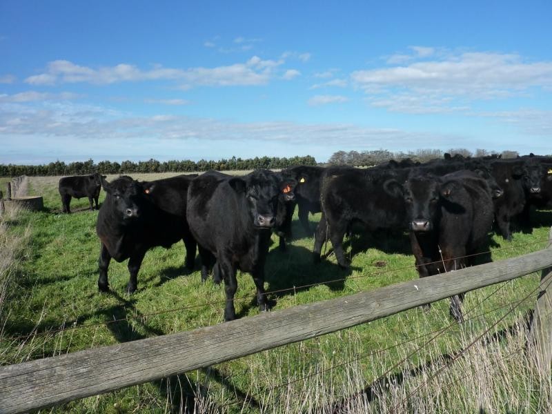 L31  355 Railway Road, Koo Wee Rup VIC 3981