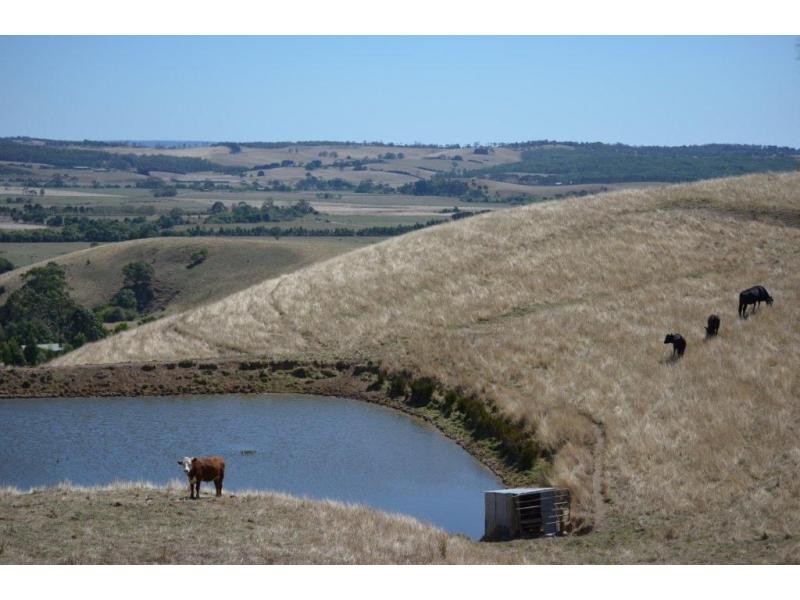 55 Michie Road, Krowera VIC 3945