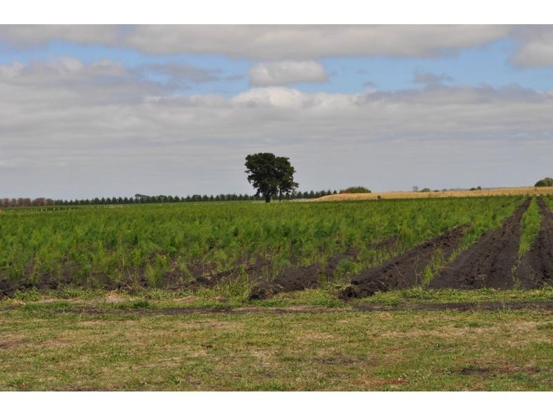 395 Dalmore Road, Dalmore VIC 3981