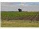 395 Dalmore Road, Dalmore VIC 3981