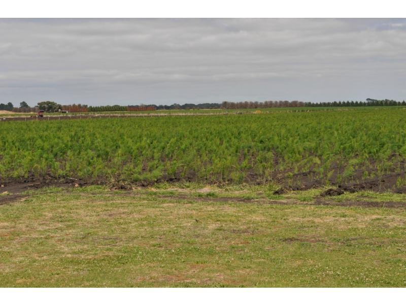 395 Dalmore Road, Dalmore VIC 3981