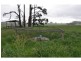 65 Tolley Road, Ripplebrook VIC 3818