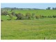 850 Mt Lyall Road, Nyora VIC 3987
