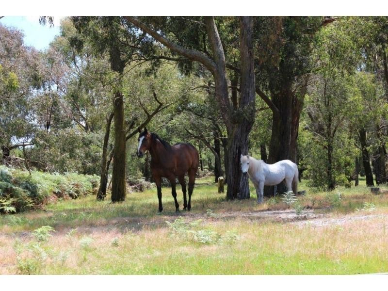 40 Nyora St Heliers Road, Loch VIC 3945