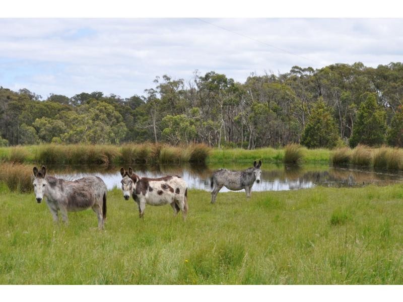 1140 Mt Lyall Road, Nyora VIC 3987