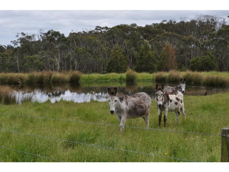 1140 Mt Lyall Road, Nyora VIC 3987