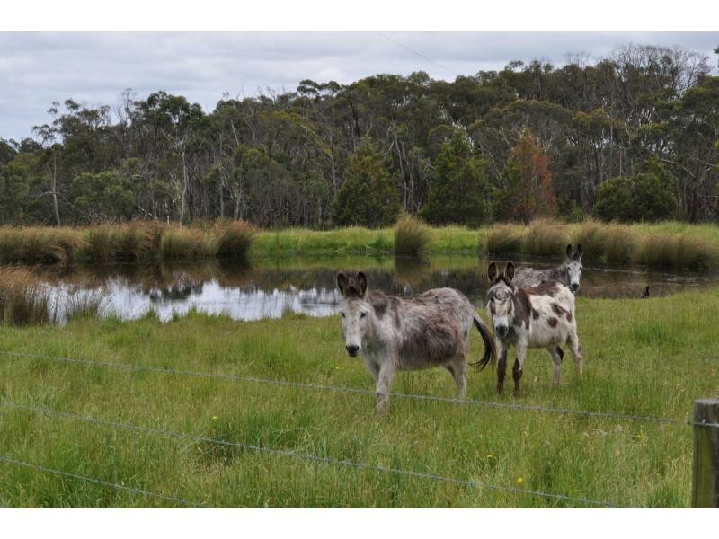 1140 Mt Lyall Road, Nyora VIC 3987