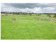 1045 Mt Lyall Road, Nyora VIC 3987