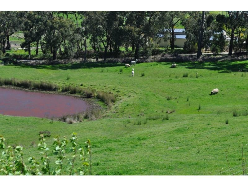 55 Henrys Road, Nyora VIC 3987