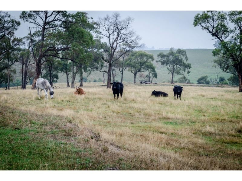 820 Mt Lyall Road, Nyora VIC 3987