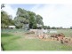 130 Island Road, Koo Wee Rup VIC 3981