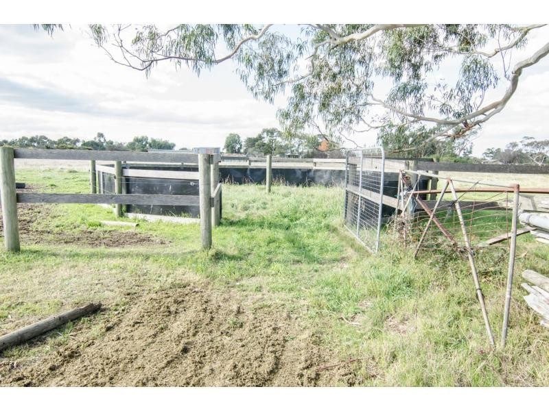 305 Boundary Drain Road, Koo Wee Rup VIC 3981