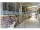 305 Boundary Drain Road, Koo Wee Rup VIC 3981