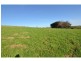 96 Loch Poowong Road, Loch VIC 3945