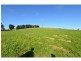 96 Loch Poowong Road, Loch VIC 3945