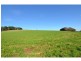 96 Loch Poowong Road, Loch VIC 3945