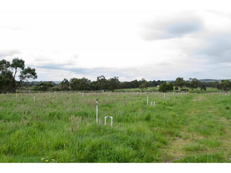 160 Milners Road, Lang Lang VIC 3984
