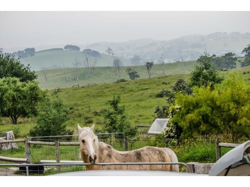 13 Carlisle Close, Nyora VIC 3987