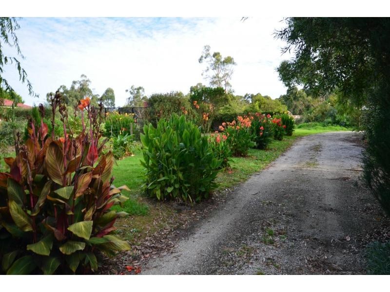 350 Lang Lang Poowong Road, Nyora VIC 3987