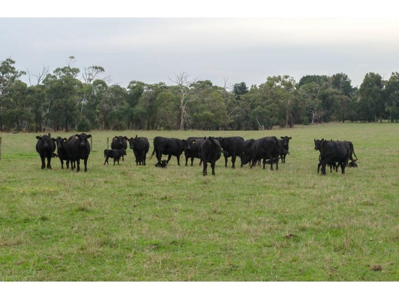 1175 Loch Kernot Road, Kernot VIC 3979