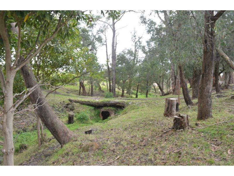 51 Patman Drive, Nyora VIC 3987