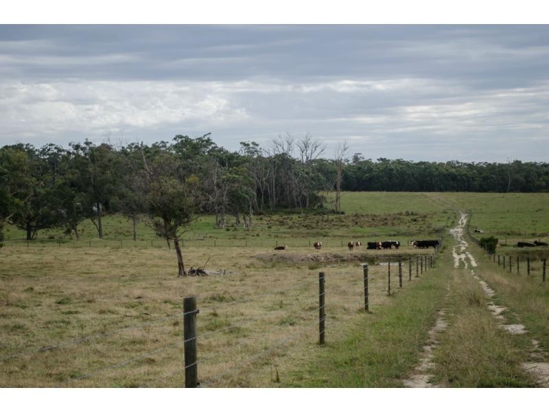 1074 Mt Lyall Road, Nyora VIC 3987