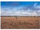 420 Westernport Road, Lang Lang VIC 3984