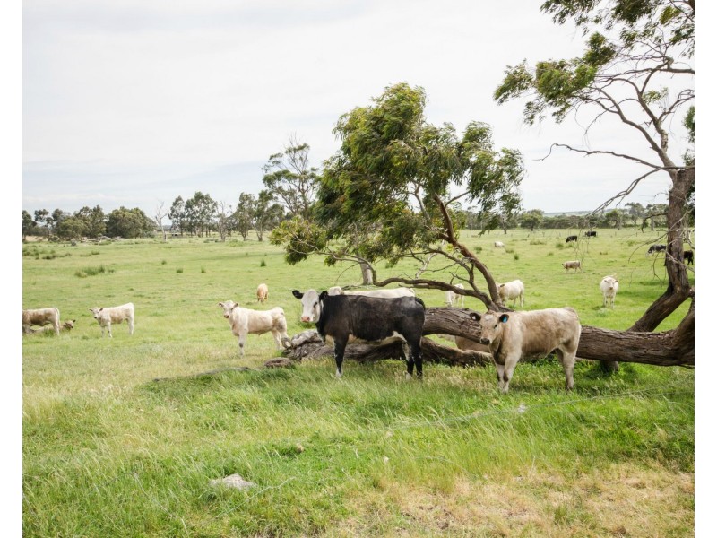 2/Lot 2/90 Kettles Road, Lang Lang VIC 3984