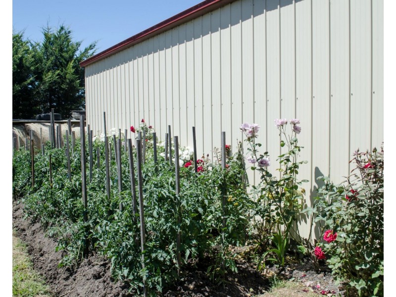 Lot 1 North Poowong Road, Nyora VIC 3987