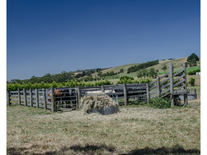 Lot 1 North Poowong Road, Nyora VIC 3987