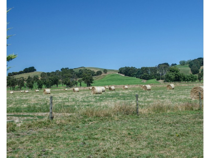 Lot 1 North Poowong Road, Nyora VIC 3987