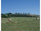 Lot 1 North Poowong Road, Nyora VIC 3987