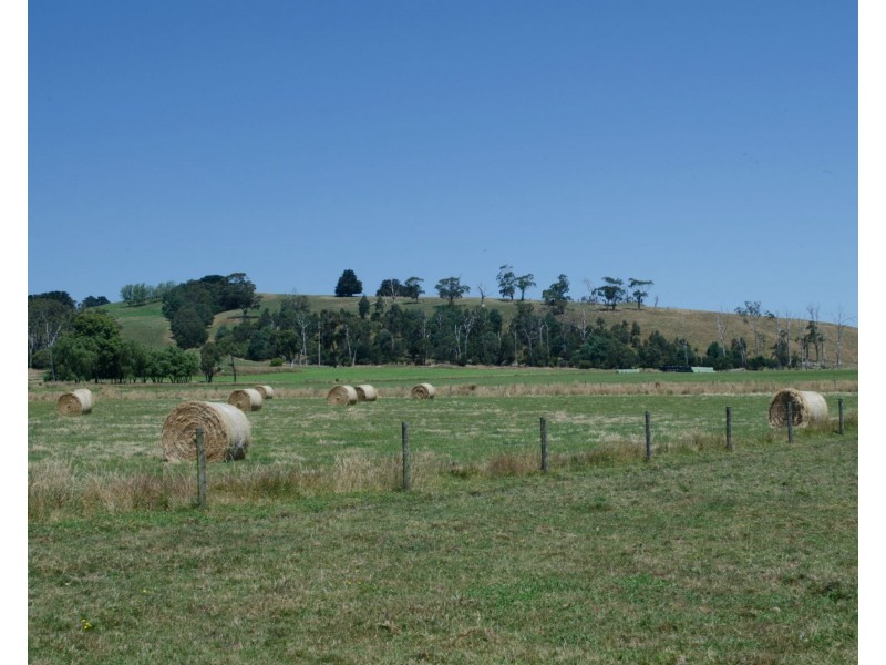 Lot 1 North Poowong Road, Nyora VIC 3987