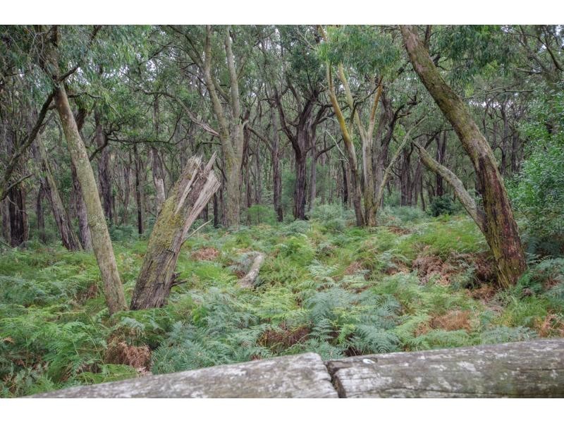 40 Seaview Court, Nyora VIC 3987