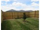 8 Cavendish Dive, Clyde North VIC 3978