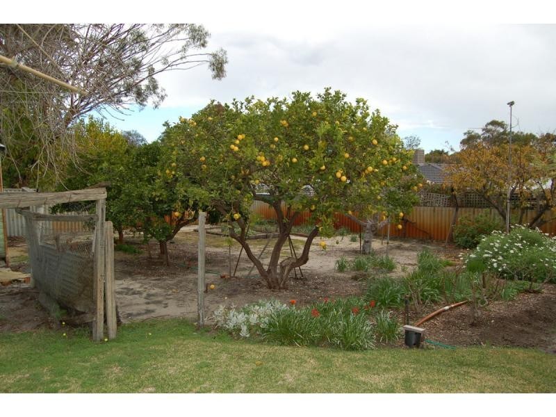 13 RIVER Street, Bassendean WA 6054