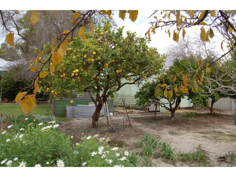 13 RIVER Street, Bassendean WA 6054