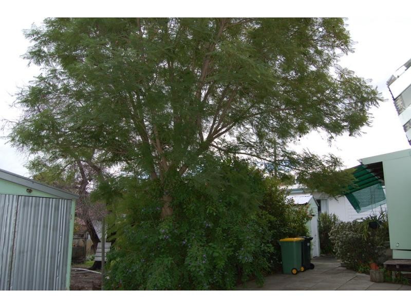 13 RIVER Street, Bassendean WA 6054