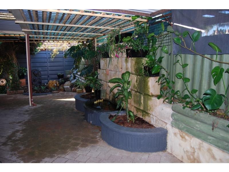 88 Doolette Street, Spearwood WA 6163