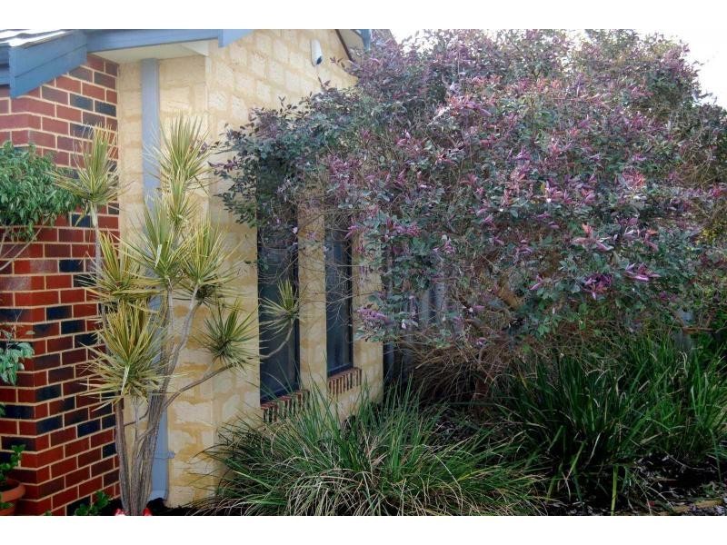 58 KENMURE Avenue, Bayswater WA 6053