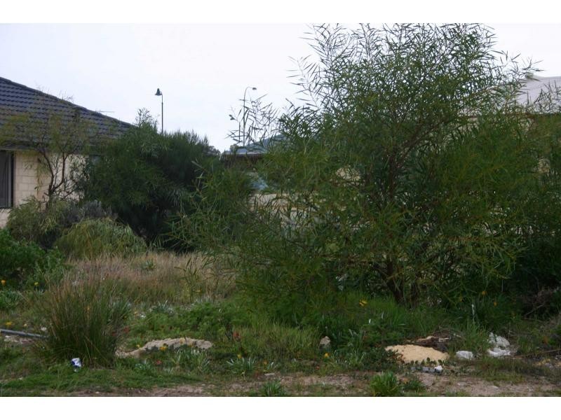 3 Le Buse Street, Yanchep WA 6035