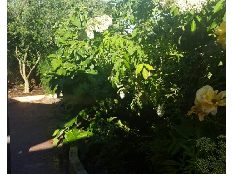 9 Wedgetail Ramble, Quinns Rocks WA 6030