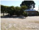 51 Winchelsea Road, Nollamara WA 6061