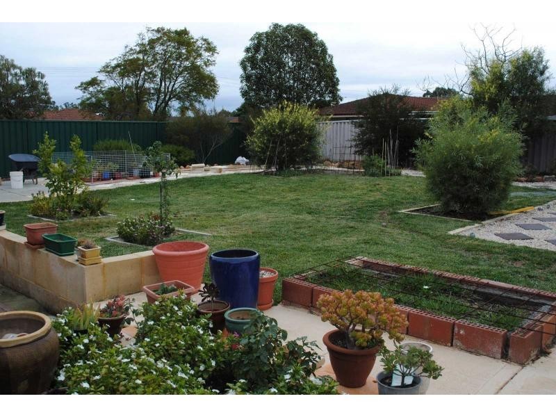 21 Cunningham Loop, Mirrabooka WA 6061