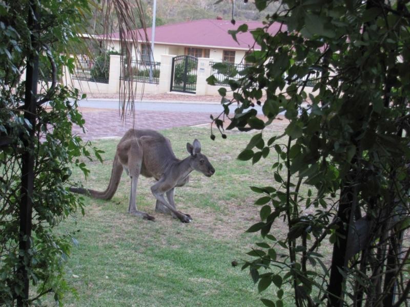 11 National Park Road, Swan View WA 6056