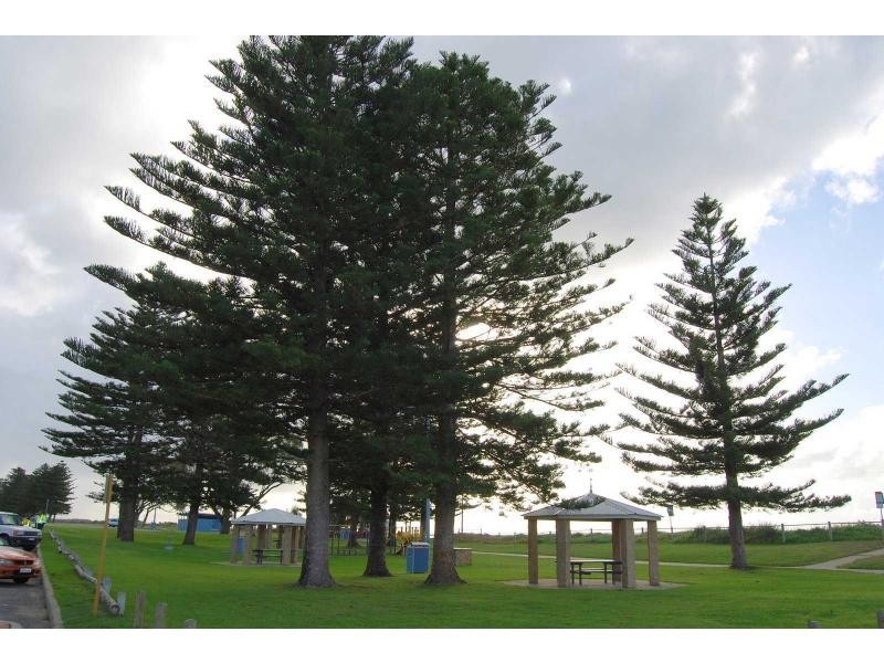 Unit 1/20 Harrison Street, Rockingham WA 6168