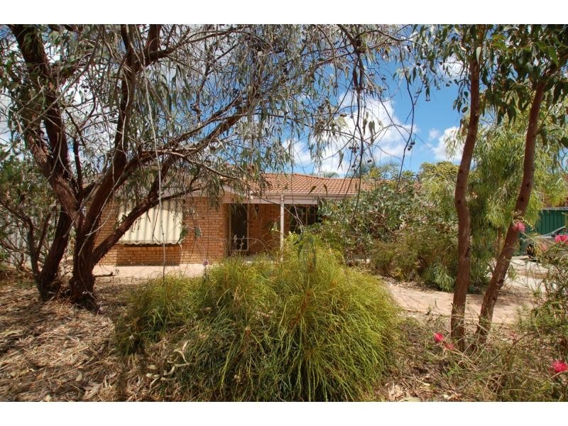 10 Emanuel Court, Marangaroo WA 6064