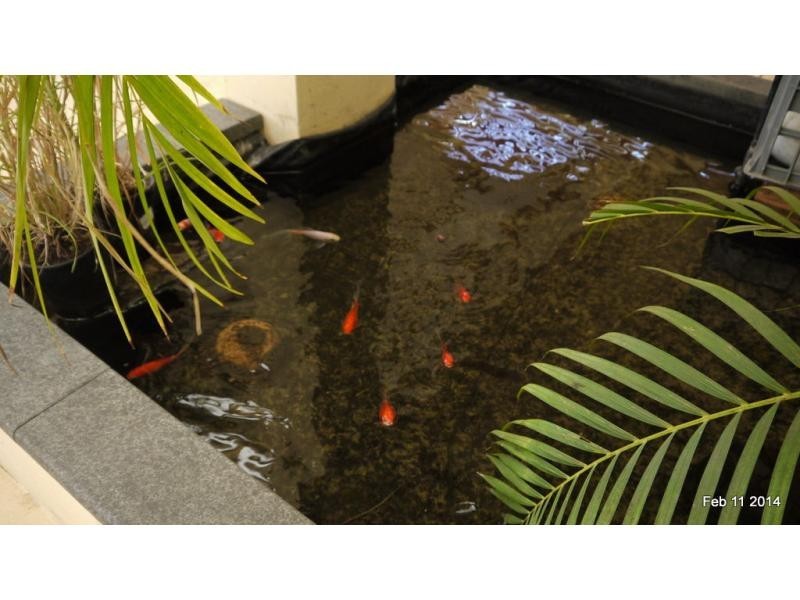 31 Sherington Road, Greenwood WA 6024