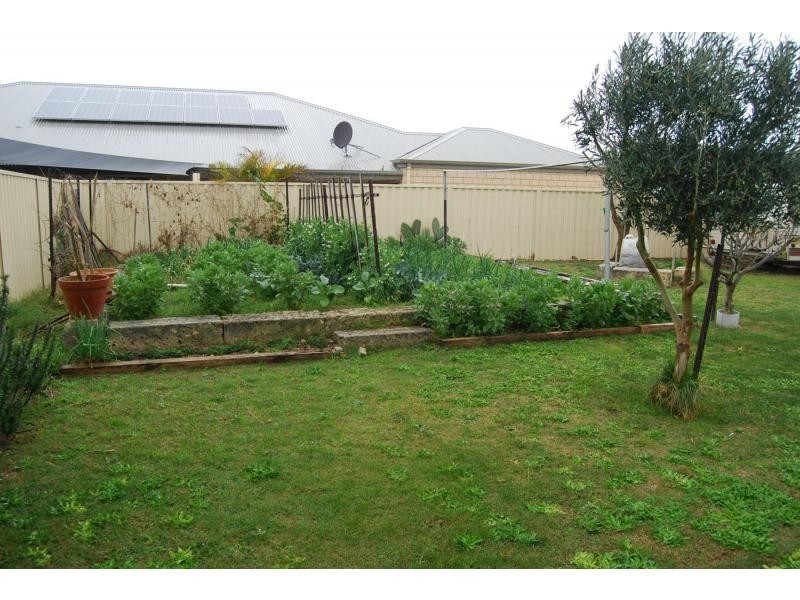 14 Britawast Road, Madora Bay WA 6210